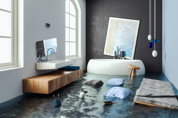 Best Ceiling water damage repair  in Squaw Valley, CA