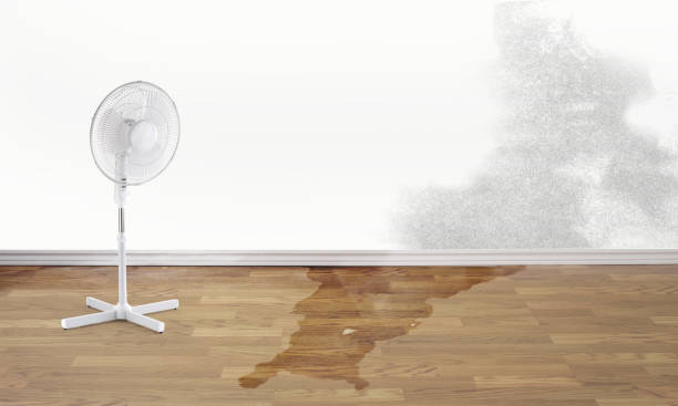 Trusted Squaw Valley, CA Water damage restoration Experts