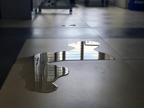 Best 24-hour water damage restoration  in Squaw Valley, CA