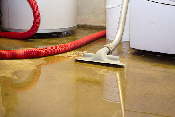 Best Basement water damage restoration  in Squaw Valley, CA