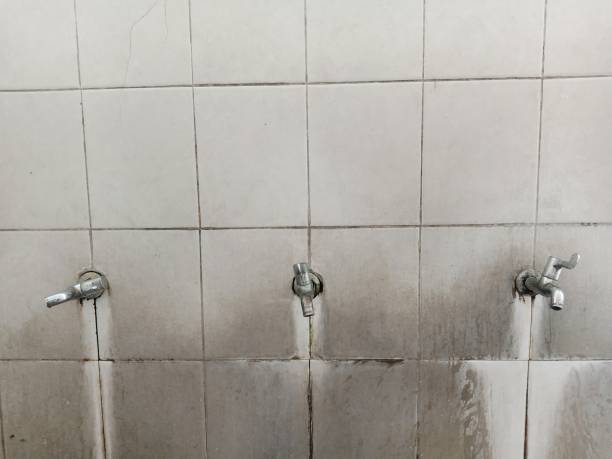 Best Mold removal after water damage  in Squaw Valley, CA
