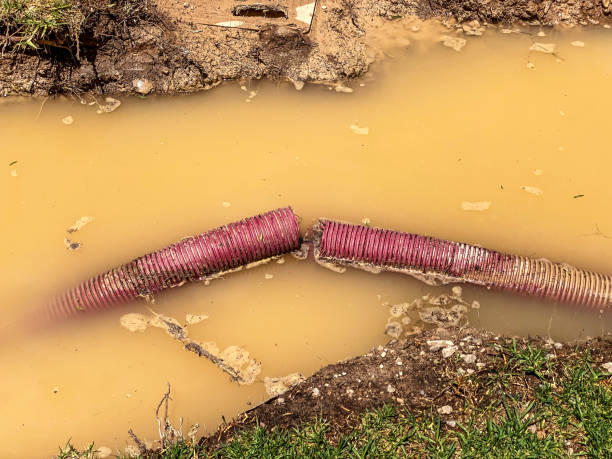 Best Water damage cleanup near me  in Squaw Valley, CA