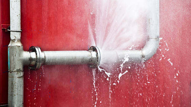 Best Flood damage cleanup  in Squaw Valley, CA
